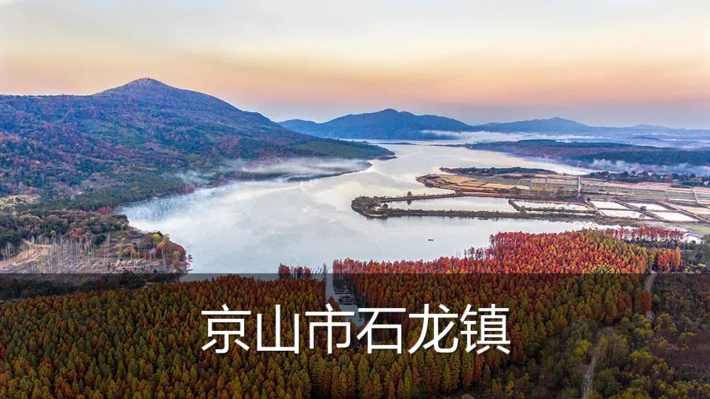 京山市石龙镇